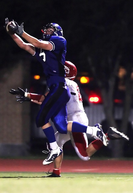 法甲雷恩队 法甲雷恩队